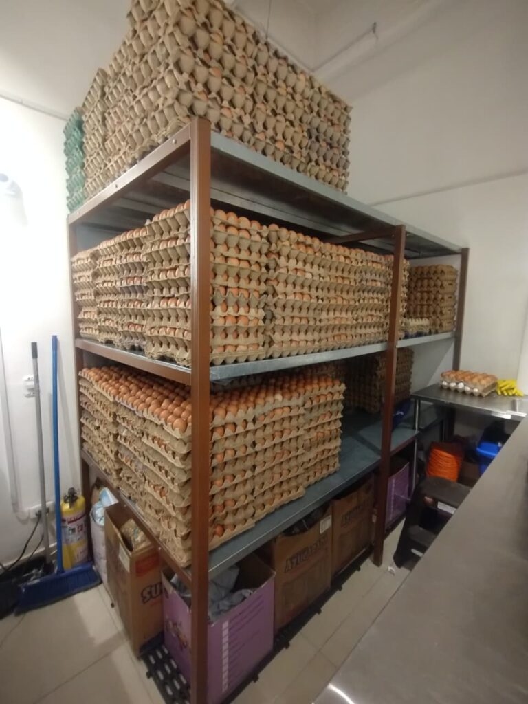 Estantería llena de huevos